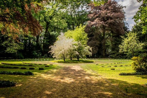 Outdoor Maintenance Checklist for Beginners