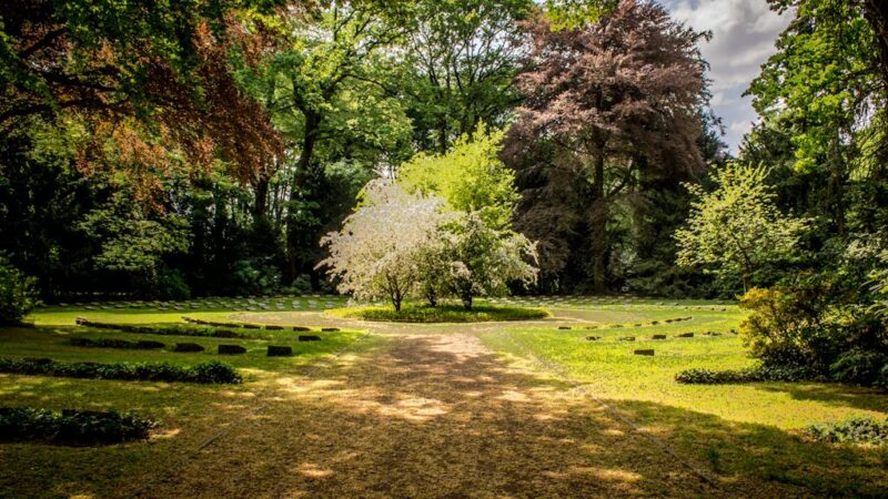 Outdoor Maintenance Checklist for Beginners