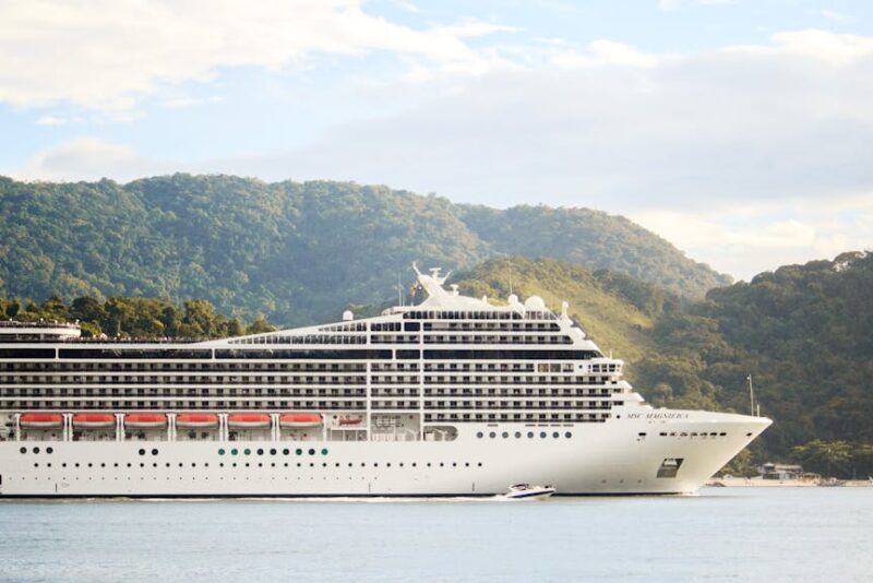 Best Cruise Liners for Every Traveler